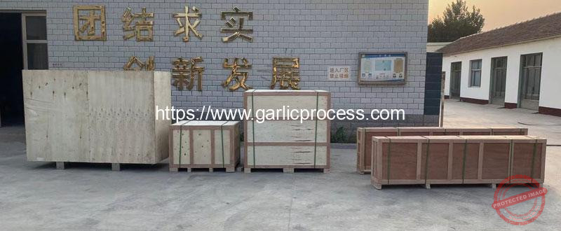 Garlic-Processing-Machine-Delivery-to-Italy-Customer